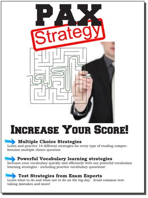 cover image of NLN PAX Test Strategy!
